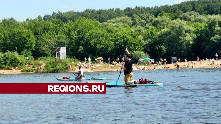 Фото: Мария Панина