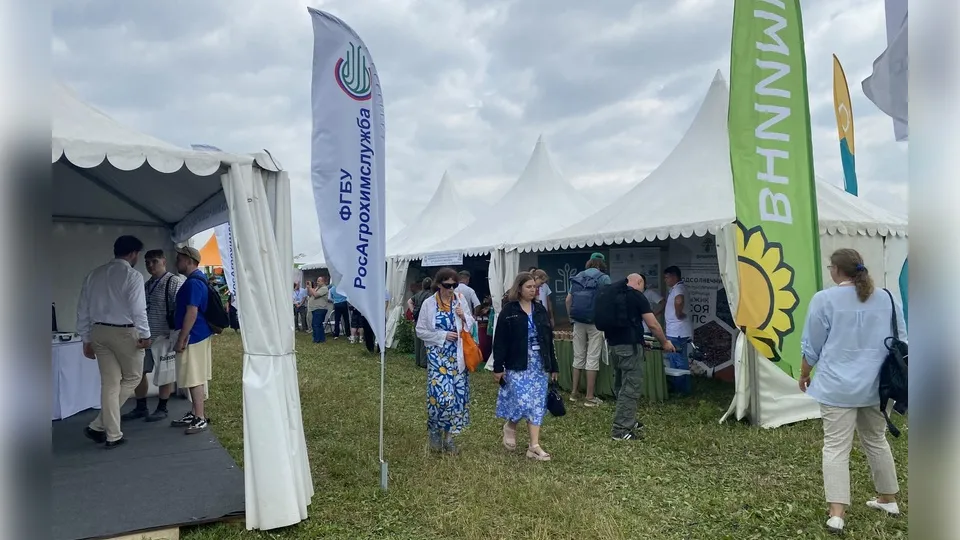 Фото: Анастасия Сараева