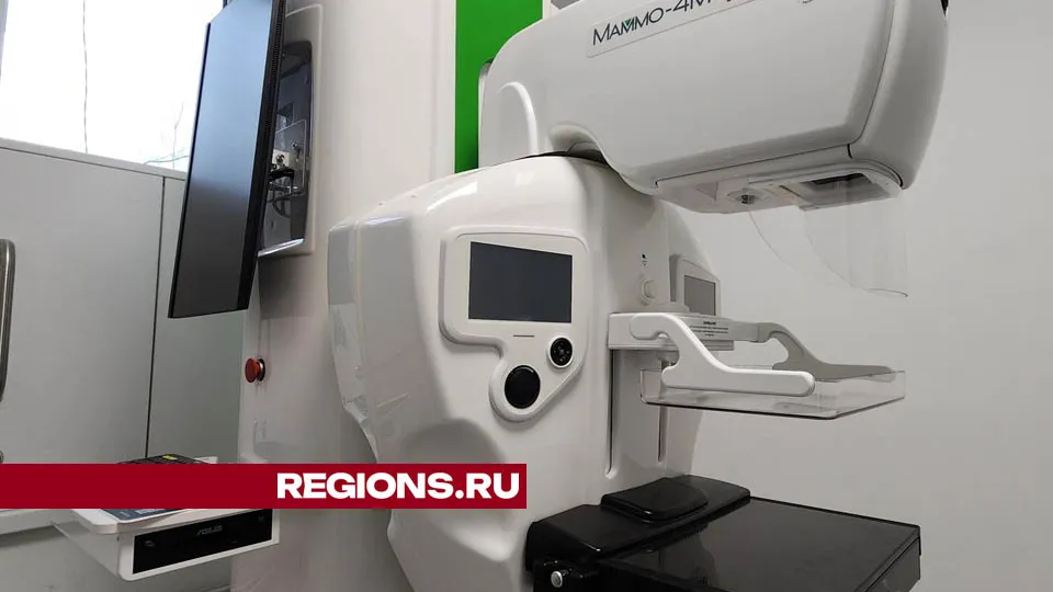 Фото: Валерия Тингаева