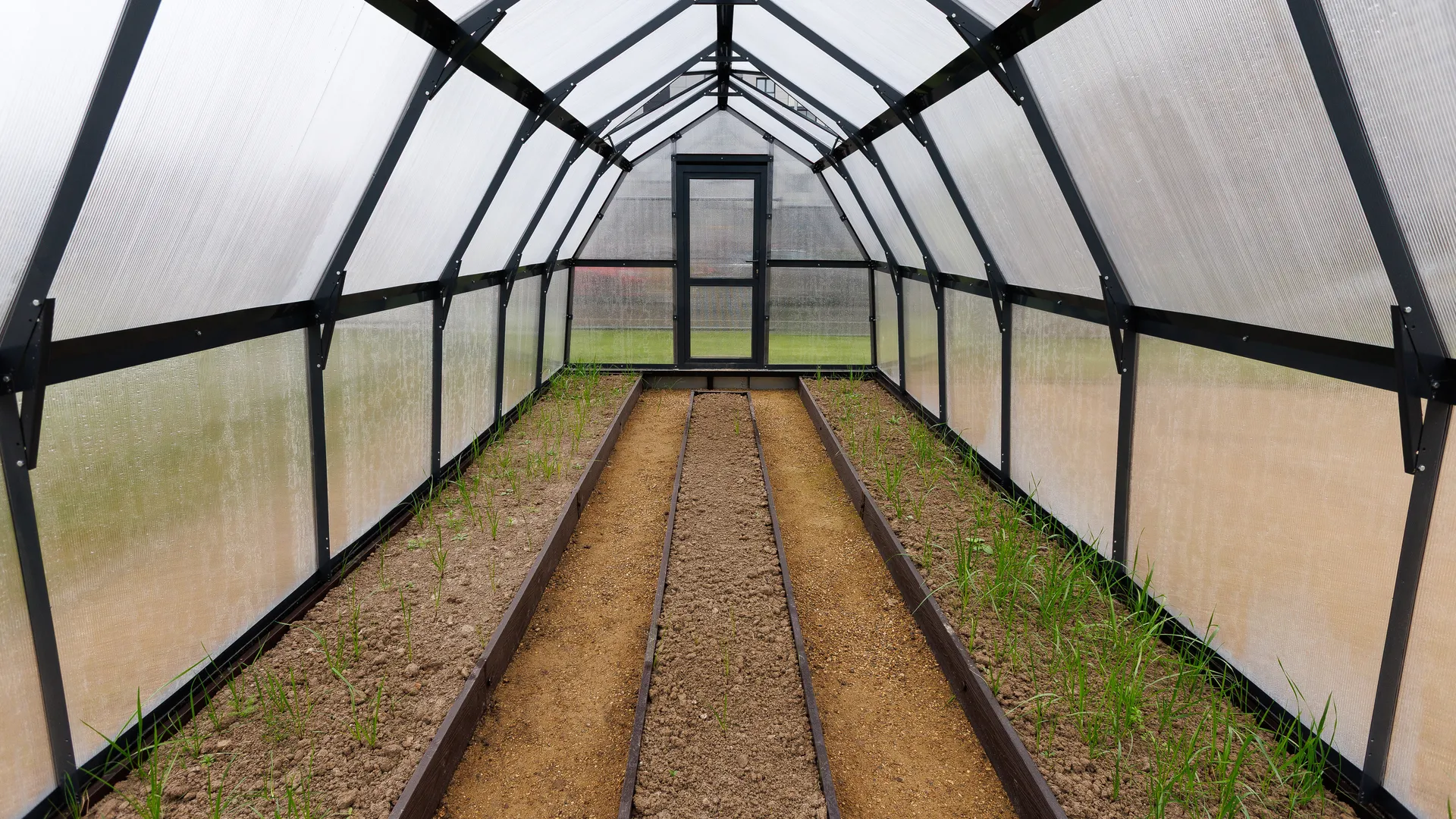 медиасток.рф