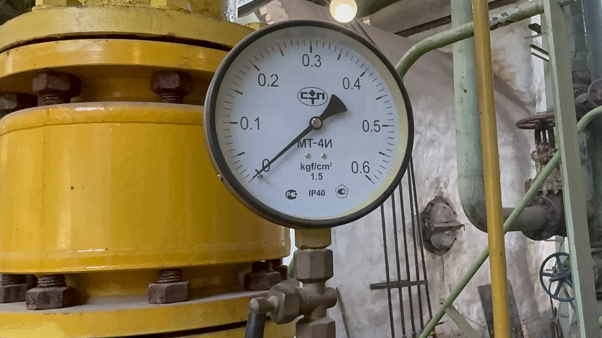 Фото: МедиаБанк Подмосковья/Евгения Герасимова