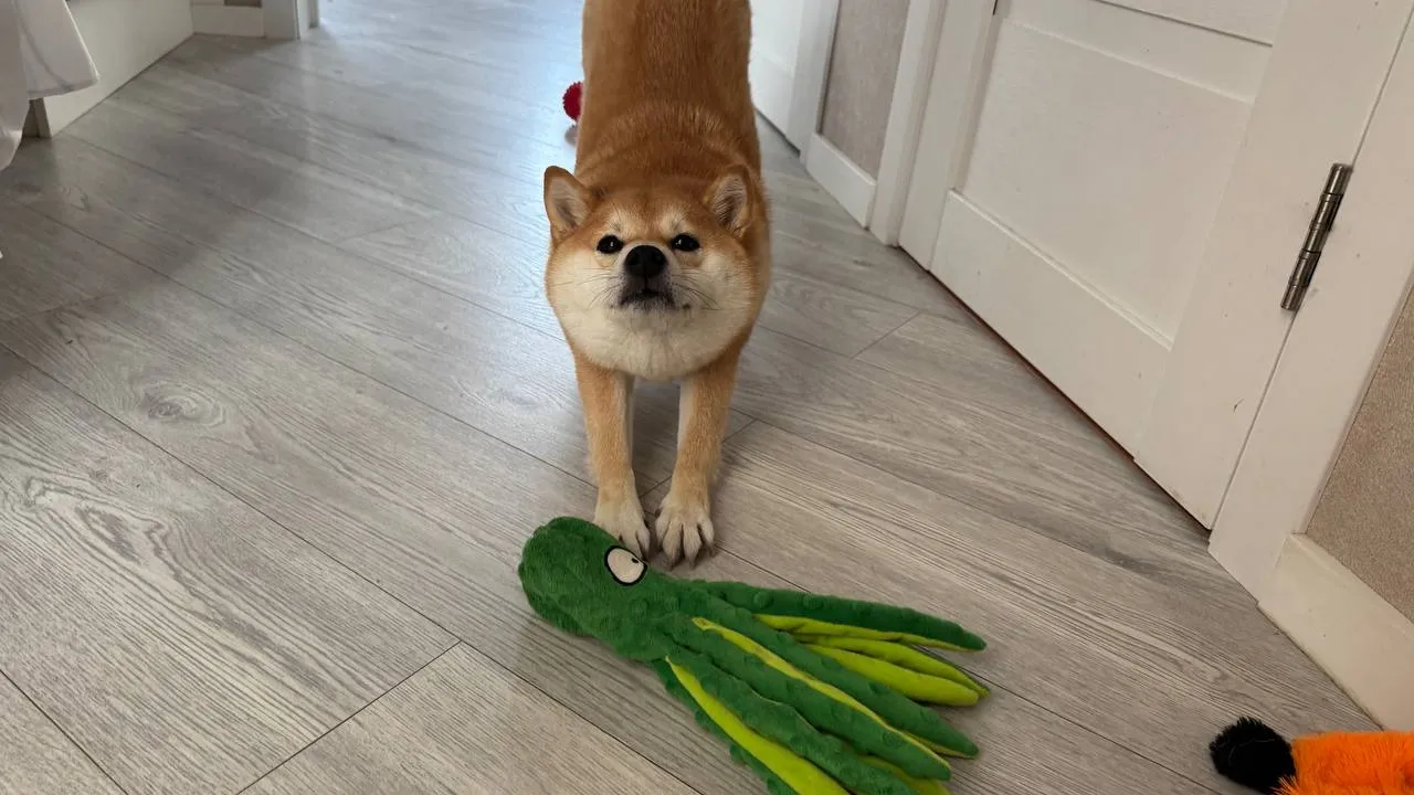 Фото: REGIONS/Евгения Макаренко