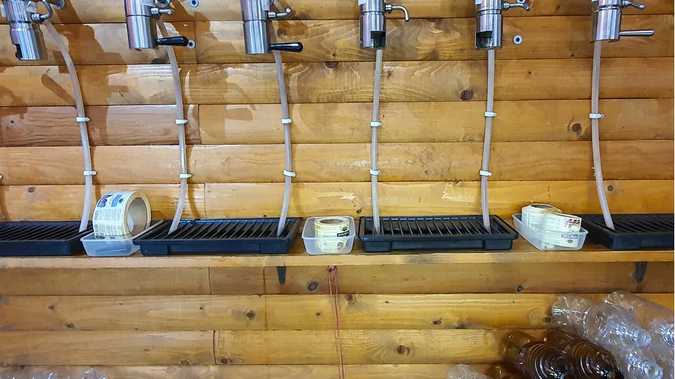 Фото: REGIONS/Наталия Надточая