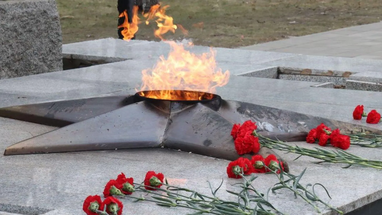 Фото: пресс-служба администрации г.о. Ступино