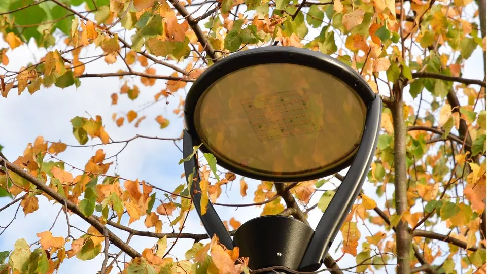 Фото: REGIONS/Наталья Бычкова