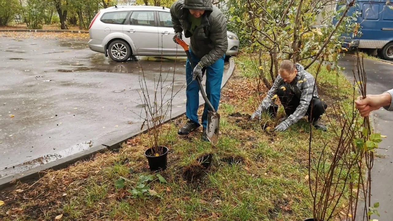 Фото: администрация городского округа Люберцы
