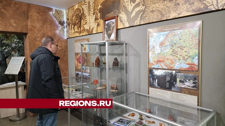 Фото: REGIONS/Александр Степушкин