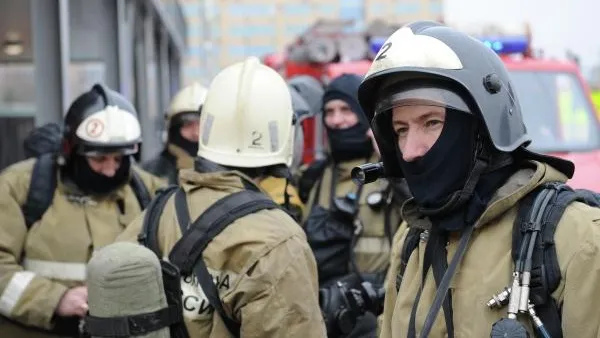 20 кошек погибли во время пожара в квартире в Жуковском