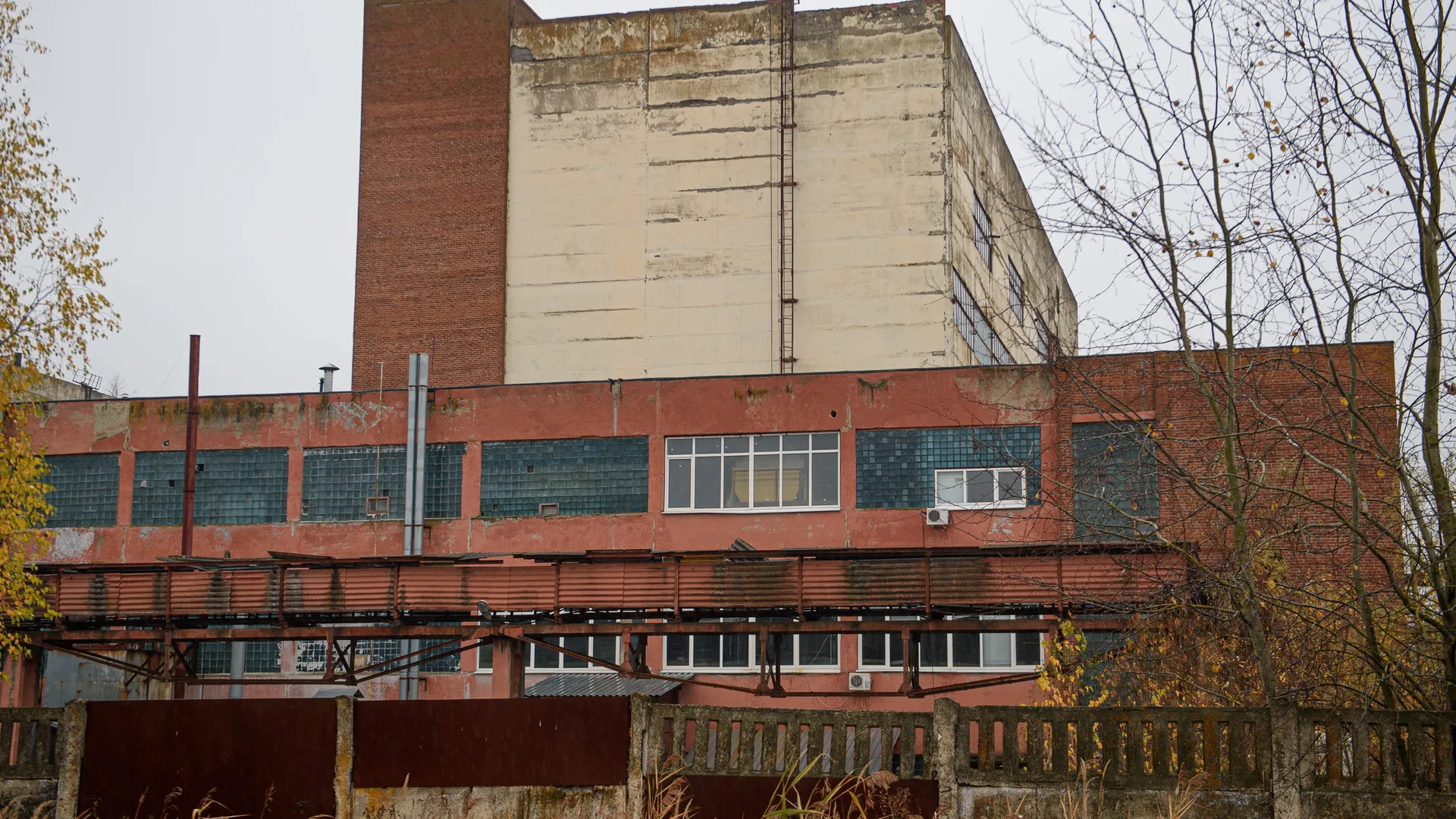 Фото: медиасток.рф