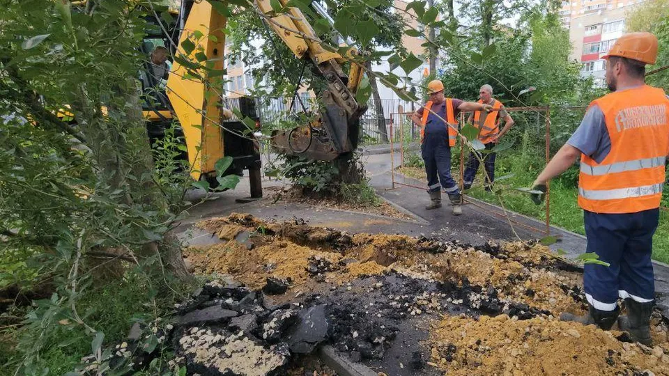 Фото: Наталья Лымарь