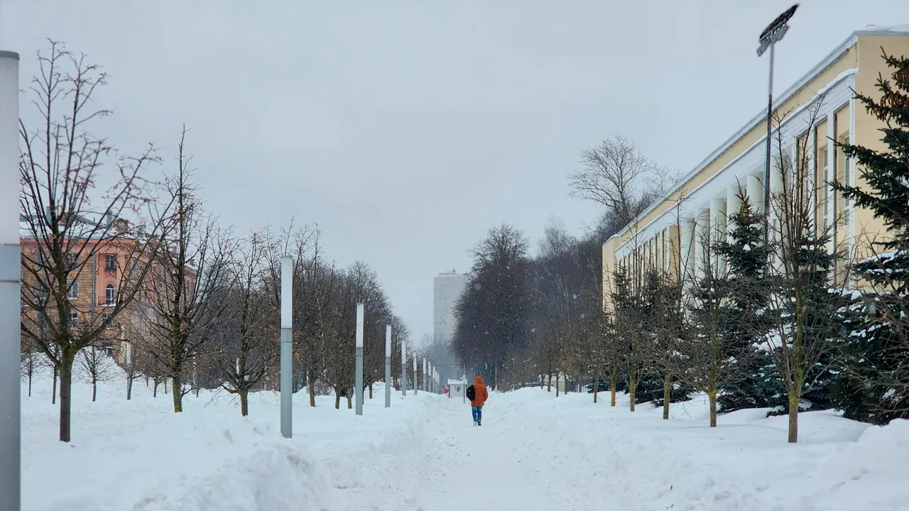 МедиаБанк Подмосковья/Роман Савельев