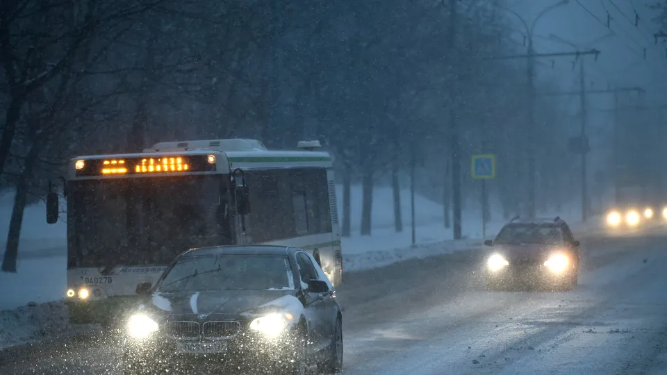 Фото: медиасток.рф