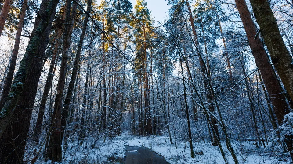 Фото: медиасток.рф