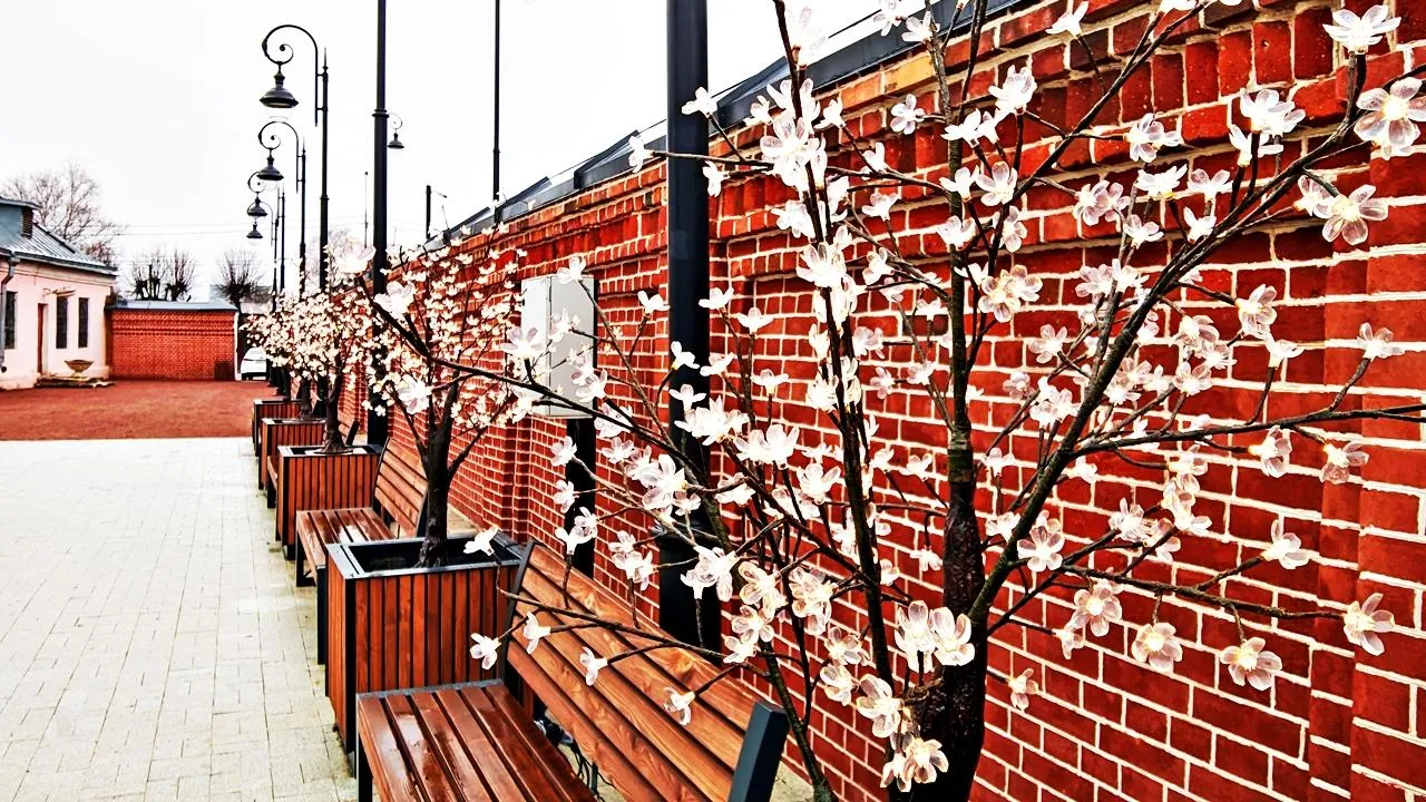 REGIONS/Алексей Селиверстов