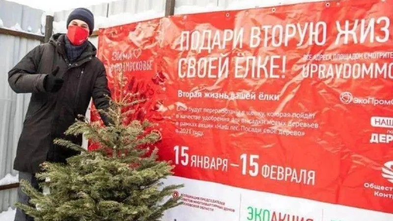 Жители Подмосковья сдали 25 тысяч елок на переработку