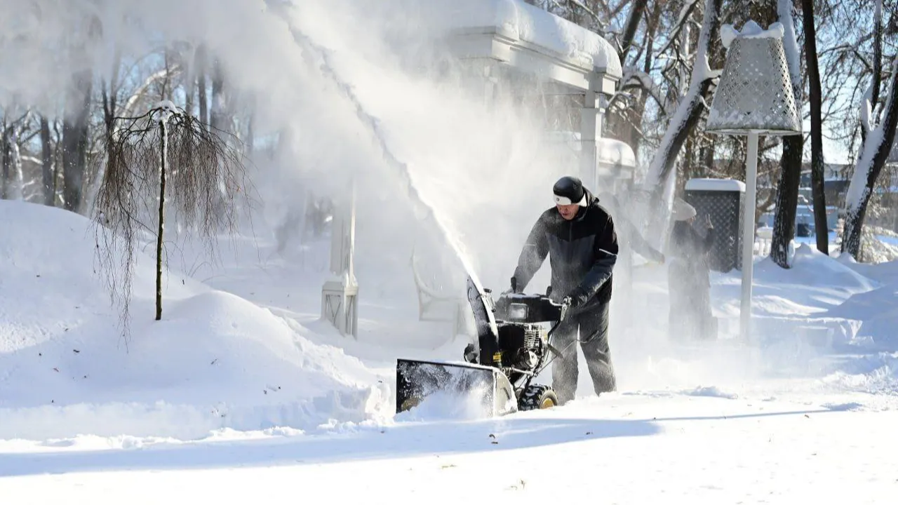 Министерство благоустройства Московской области