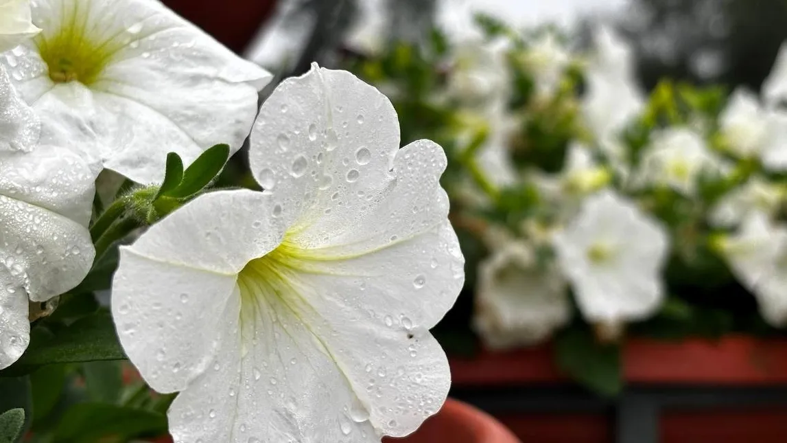 Фото: МБУК «Городской парк культуры и отдыха»