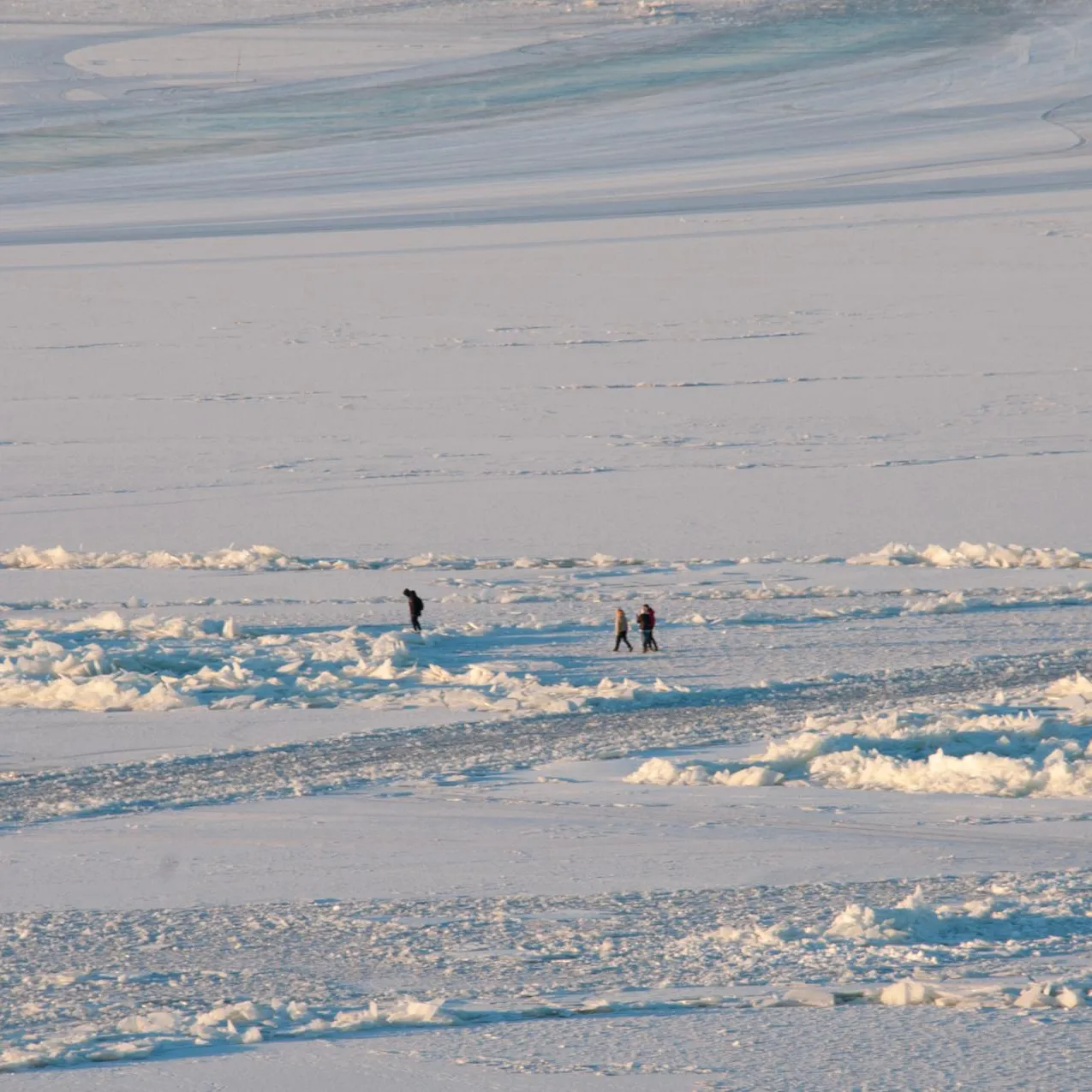 Svetlana Vozmilova/Global Look Press