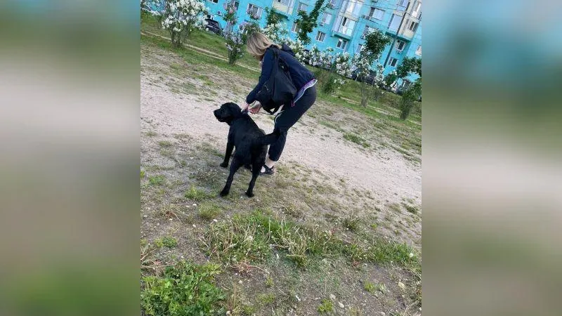 Типичный Красногорск / ВКонтакте