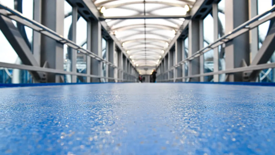 Фото: пресс-служба администрации г.о. Химки