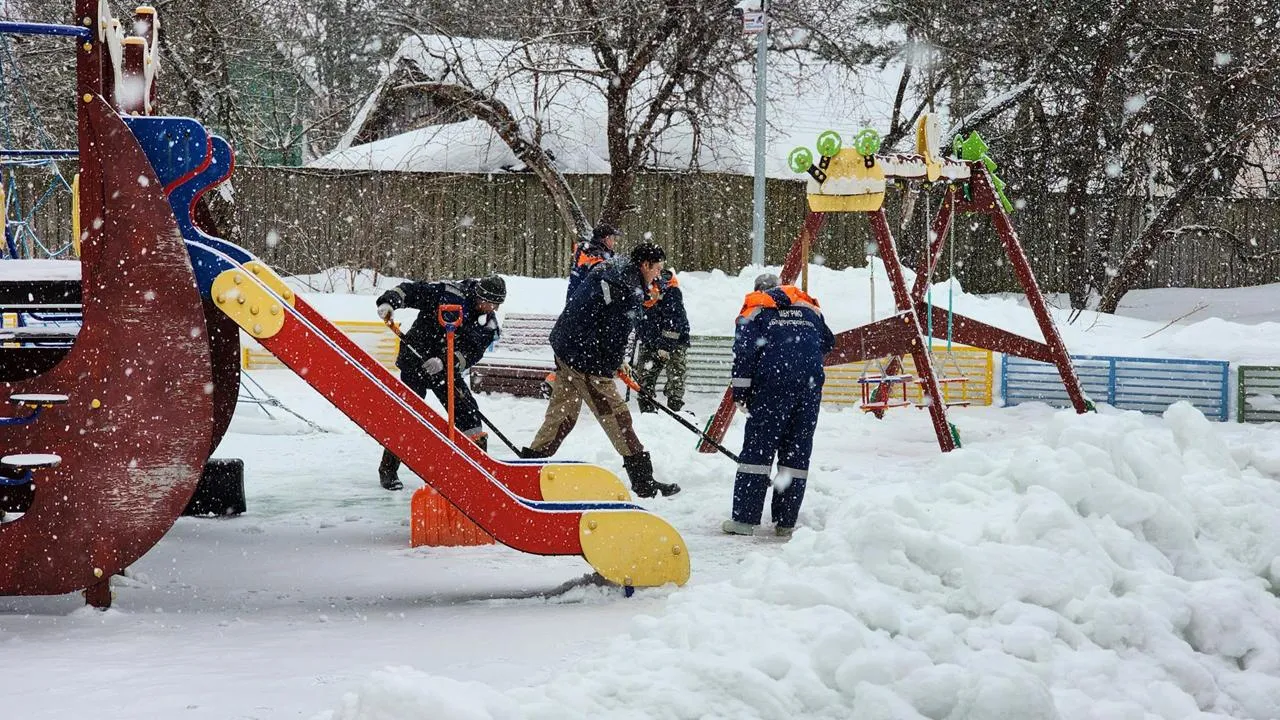 МедиаБанк Подмосковья/Екатерина Данилина