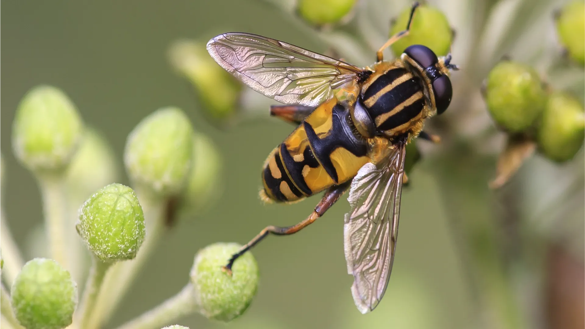 Фото: pxhere.com