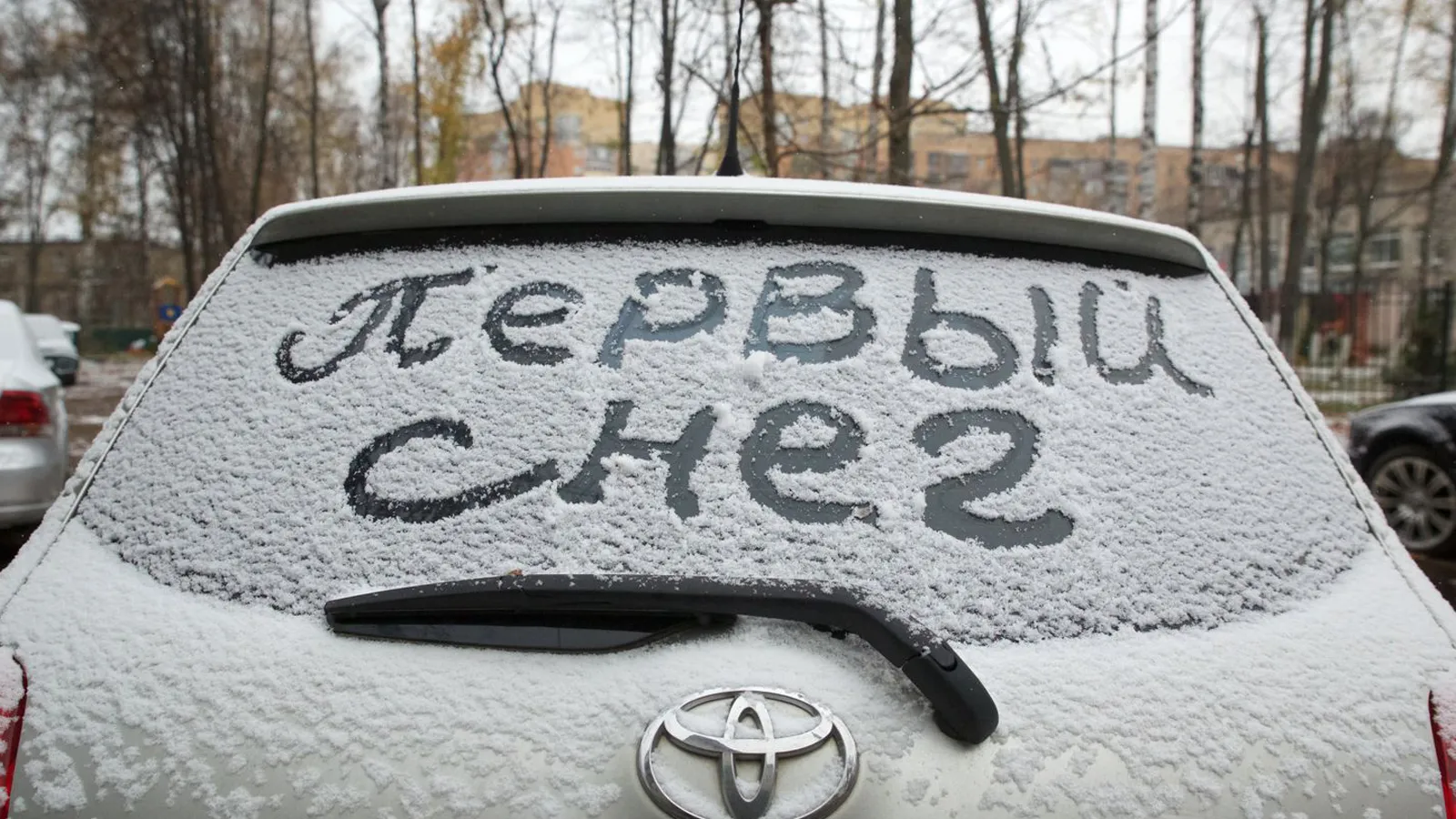 Фото: медиасток.рф