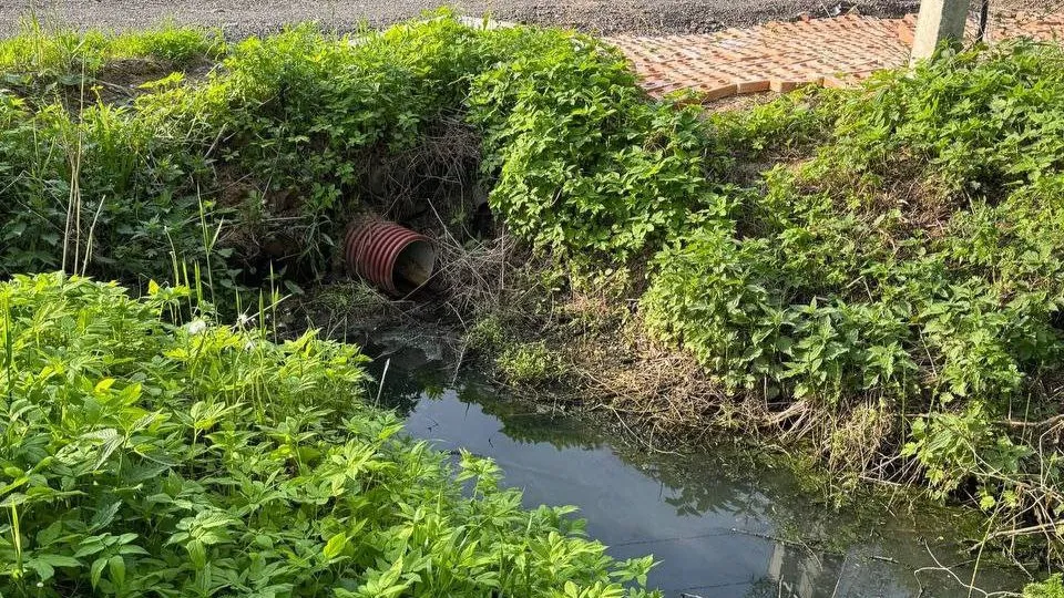 Фото: телеканал «Дубна»