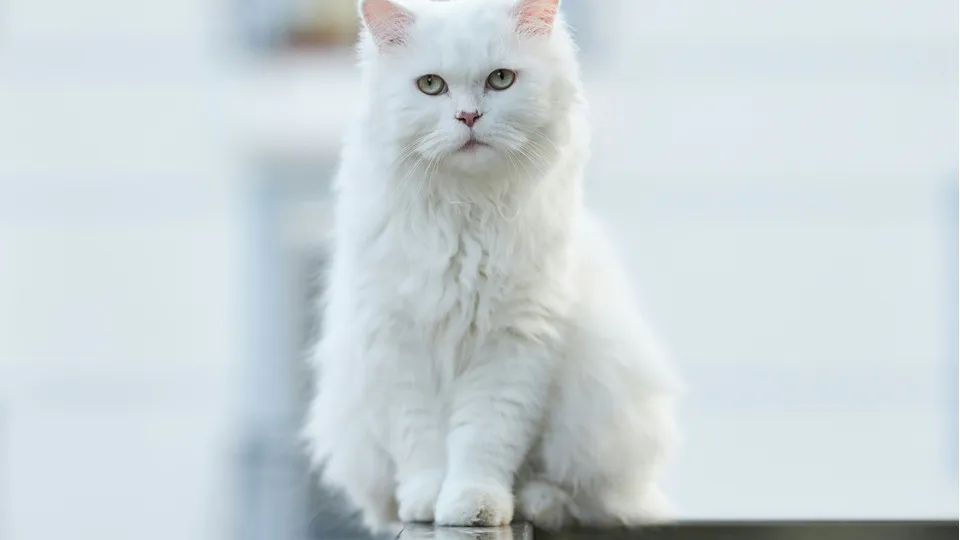 Фото: unsplash.com