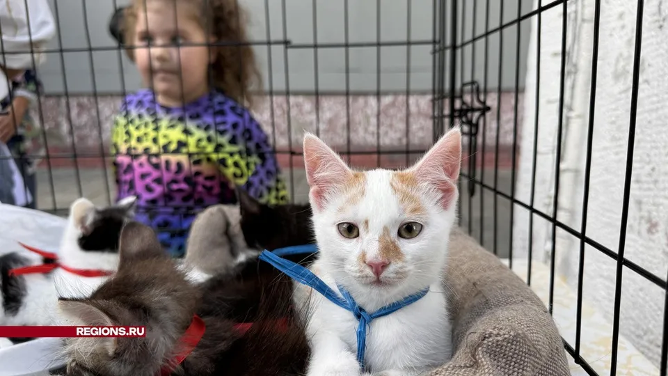 Фото: Мария Шматкова