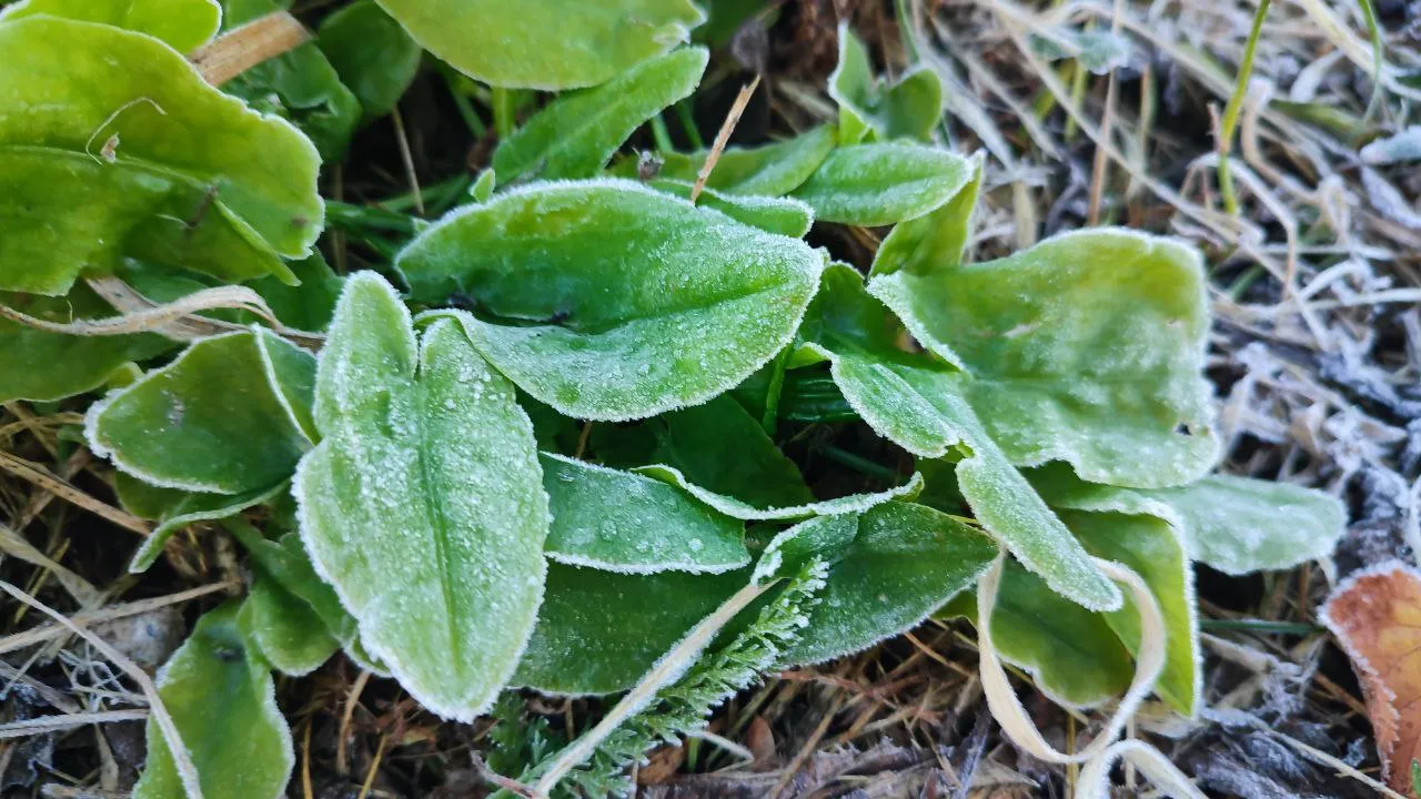 Фото: REGIONS/Елена Забелина