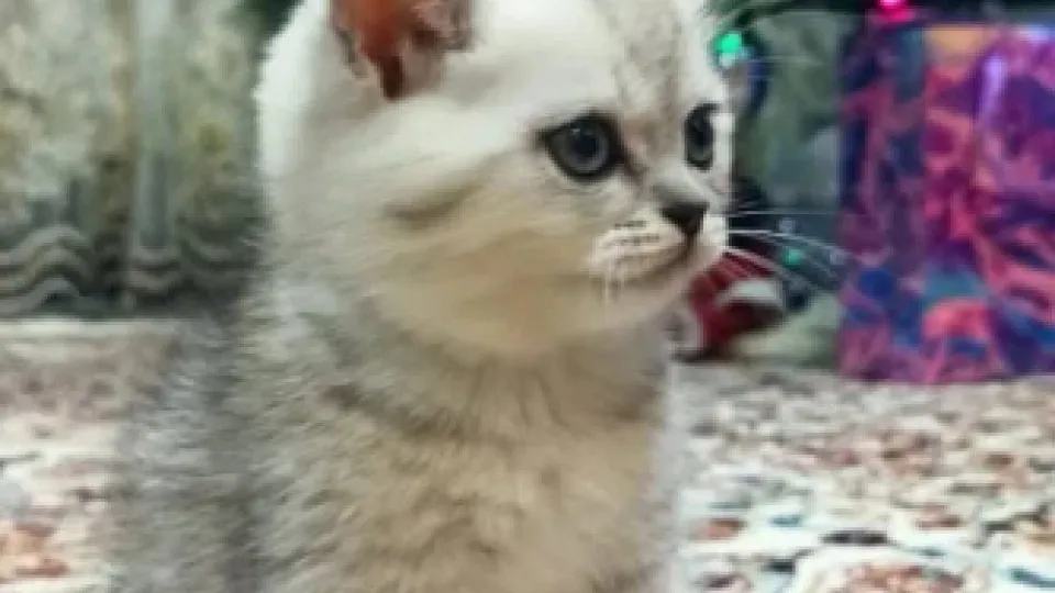 Фото: REGIONS/Елена Шаяхметова