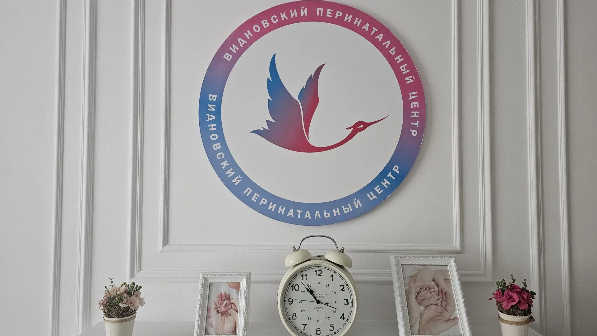 Фото: Видновский перинатальный центр