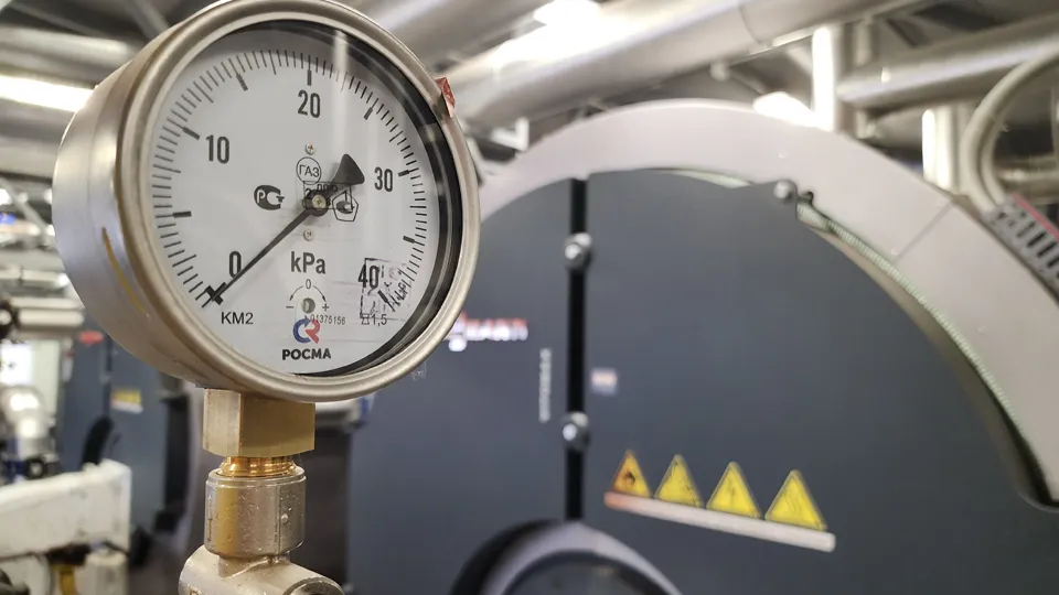 Фото: МедиаБанк Подмосковья/Ольга Сычева