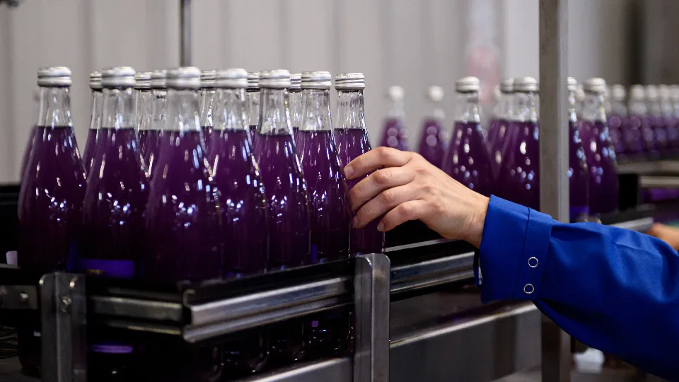 Фото: медиасток.рф