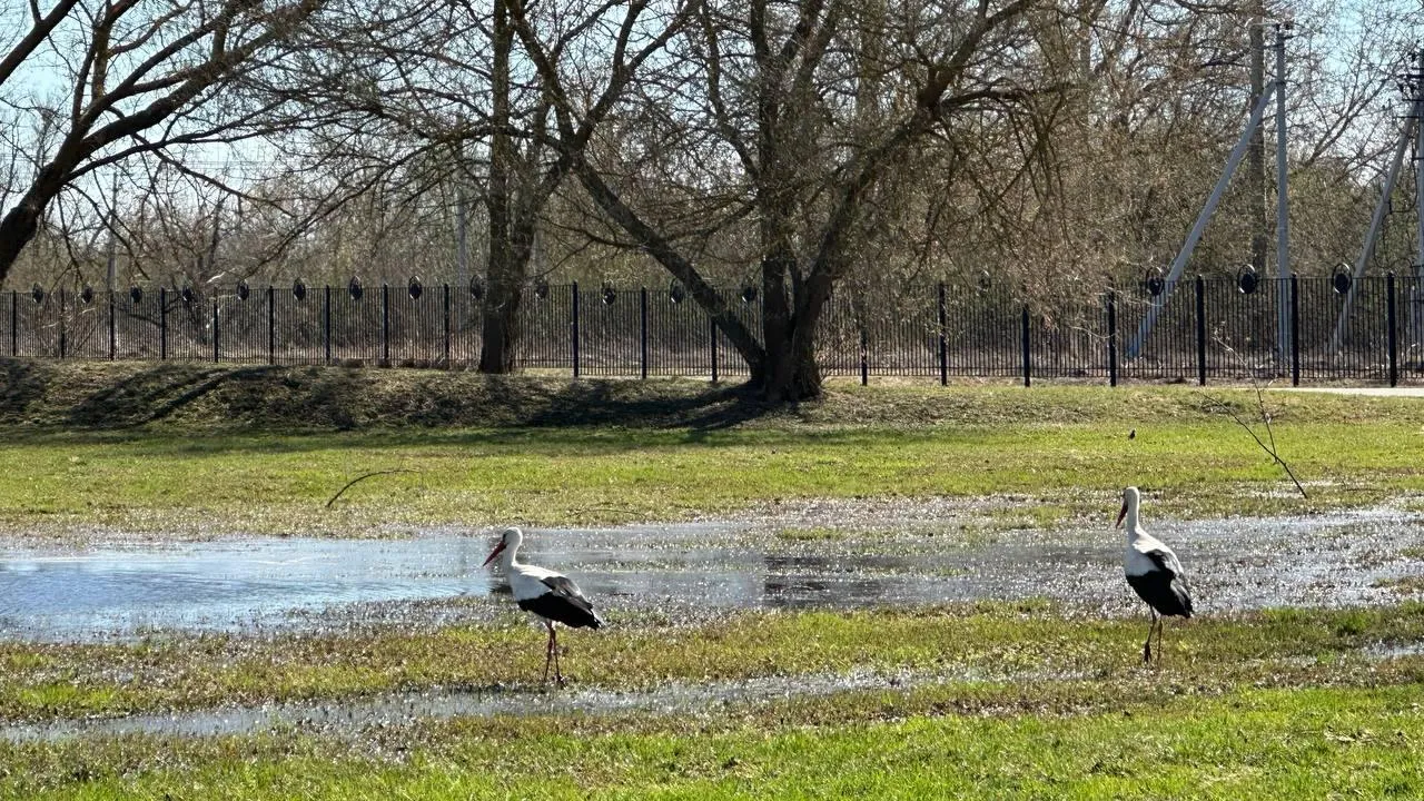 Фото: Людмила Соболева
