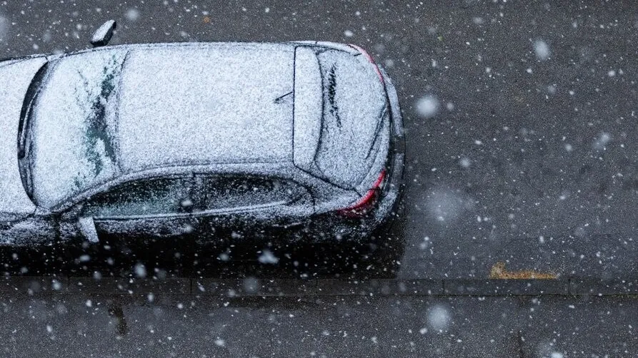 Фото: freepik.com