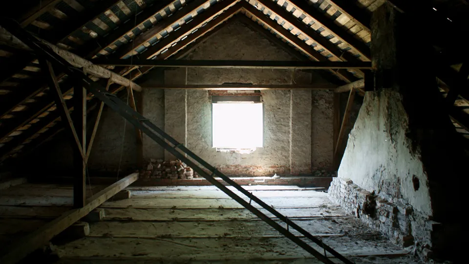 Фото: istockphoto.com