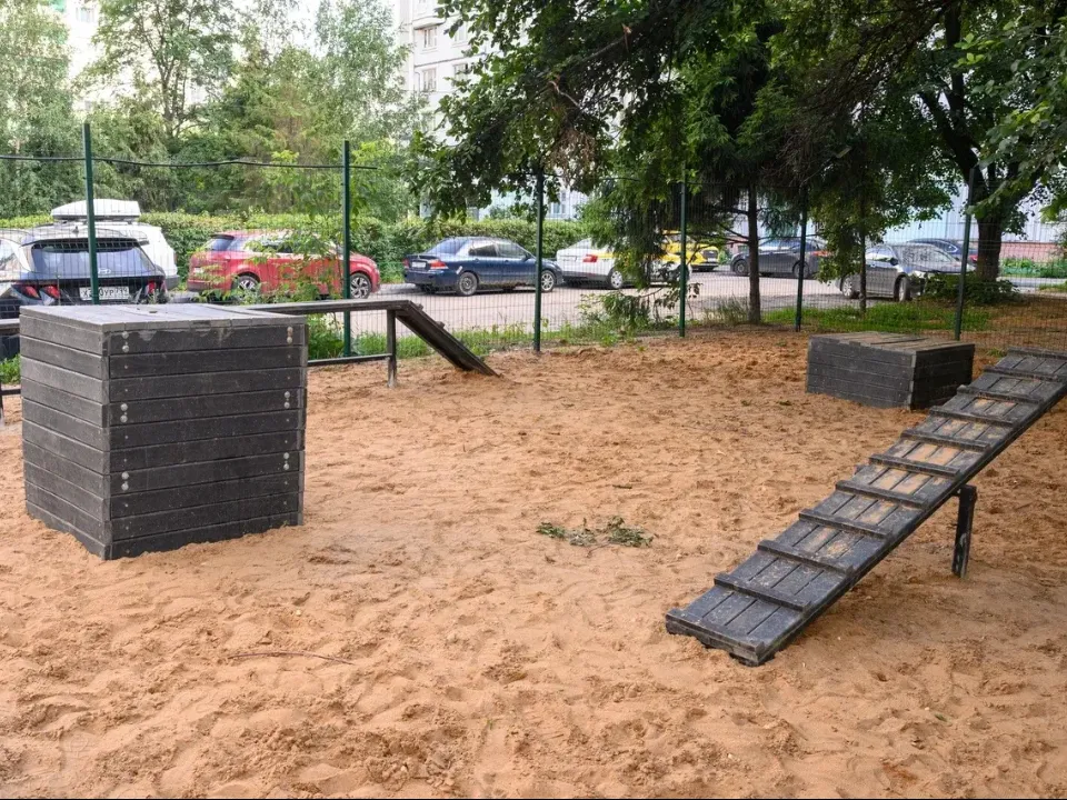 Фото: Ирина Губанова