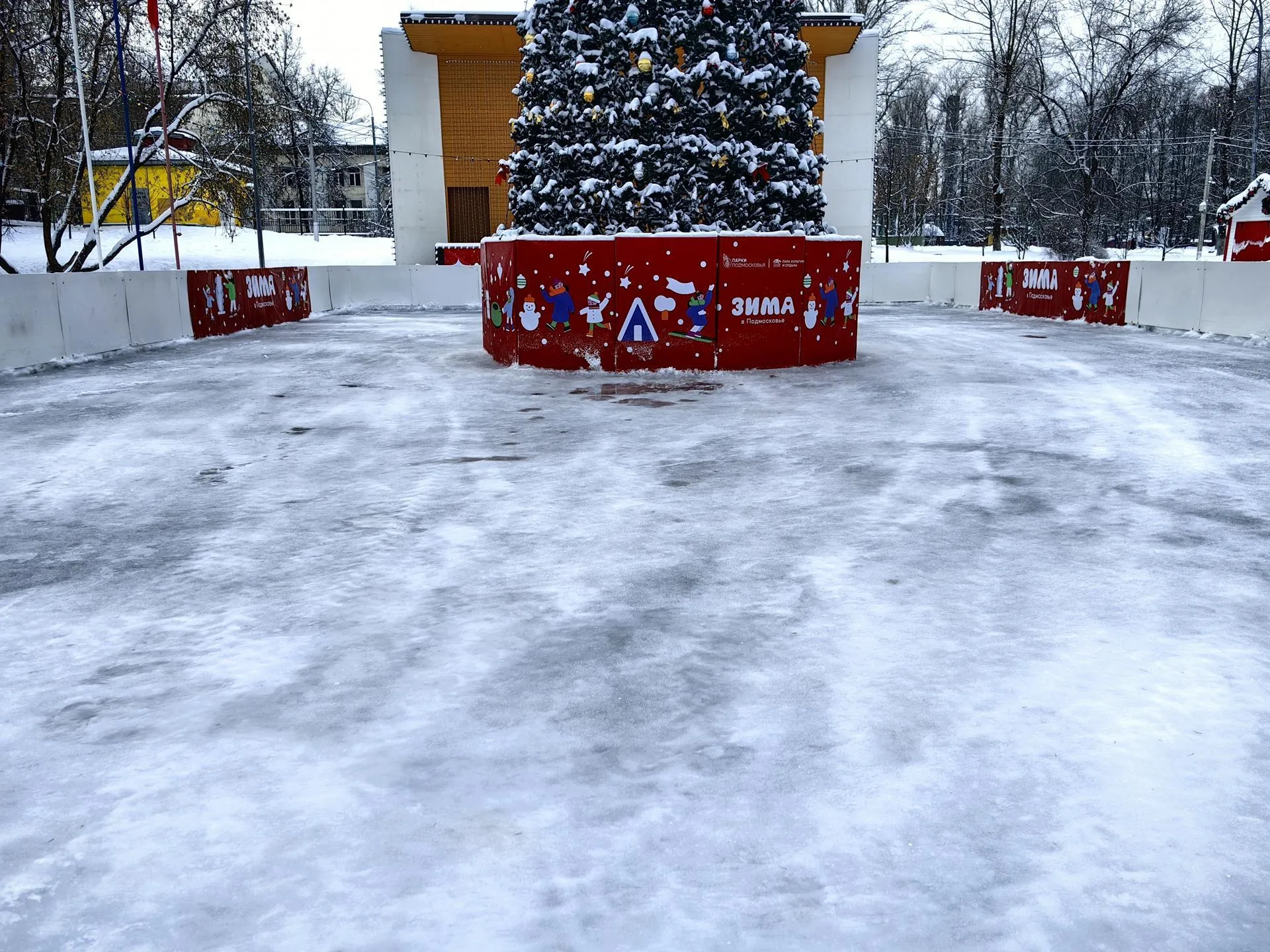 Елена Катасонова