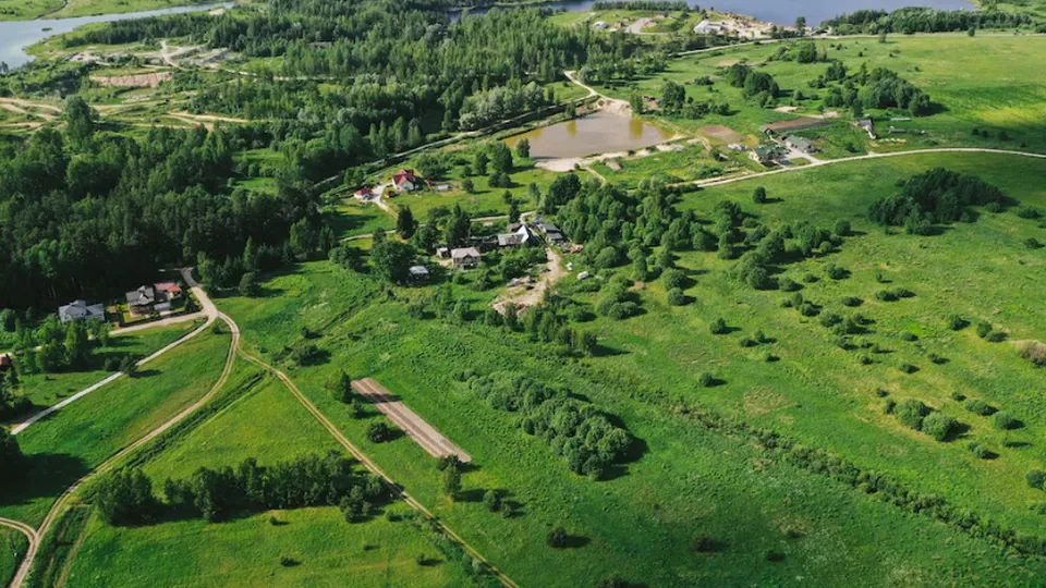 Фото: freepik.com