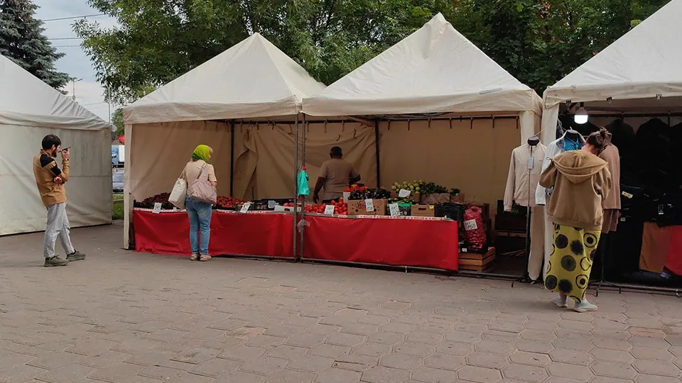 Фото: REGIONS/Елена Катасонова