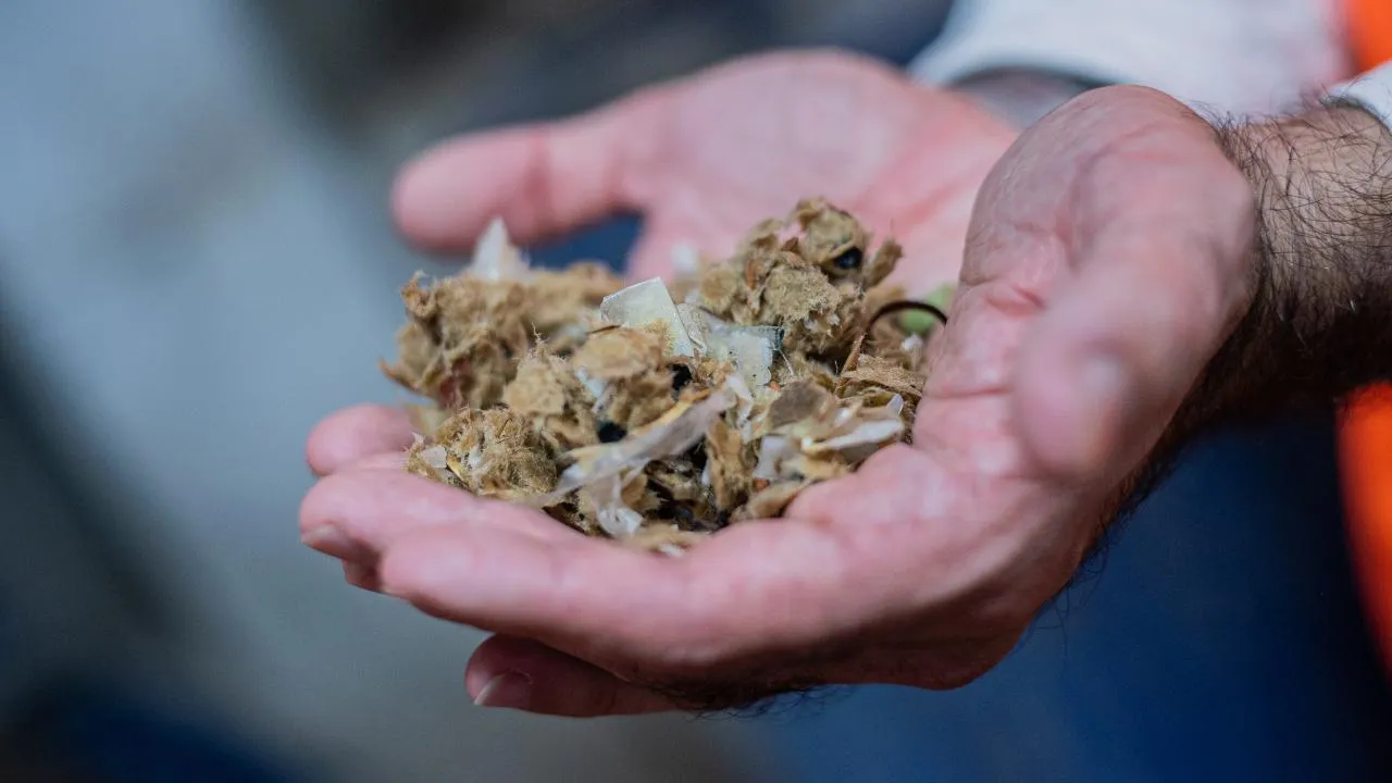 В России нашли способ превращать бумажные отходы в материалы для ликвидации нефтеразливов