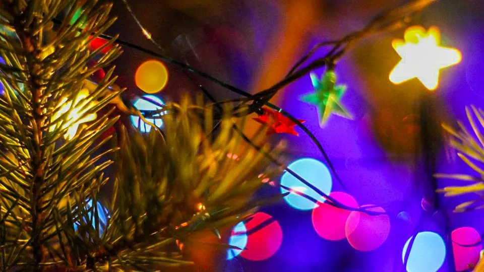 Фото: REGIONS/Эльвира Сафина