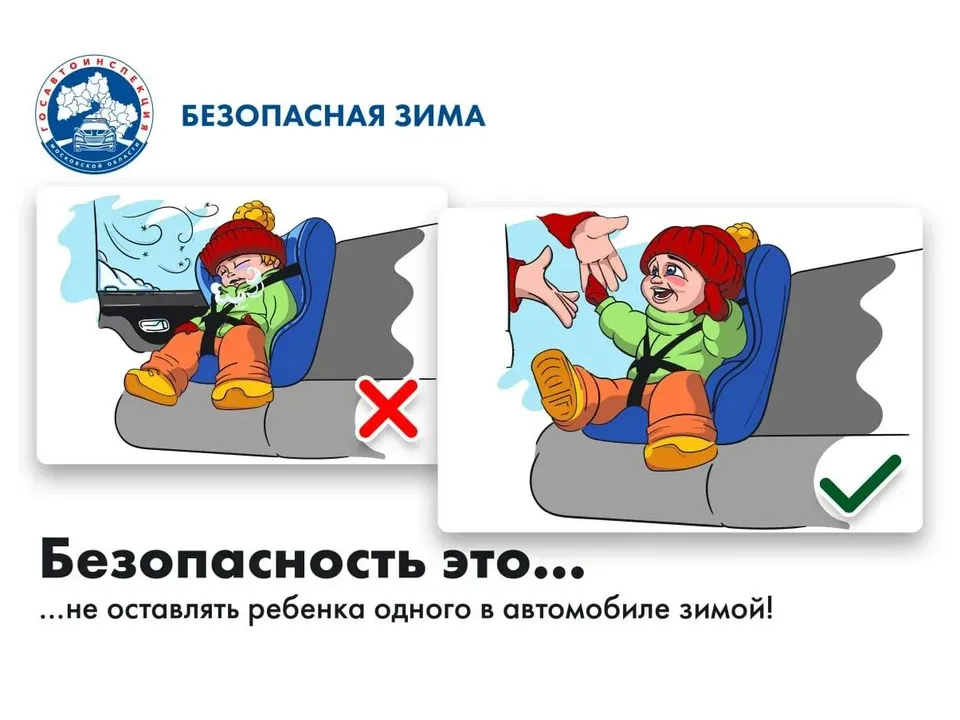 Фото: Госавтоинспекция по Московской области