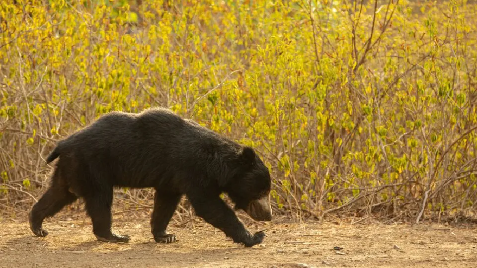 Фото: freepik.com