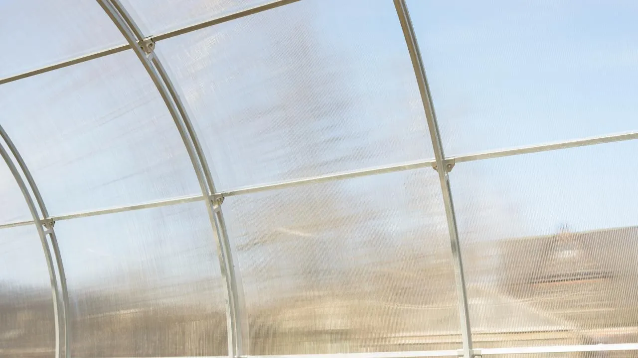 istockphoto.com/Cyrustr