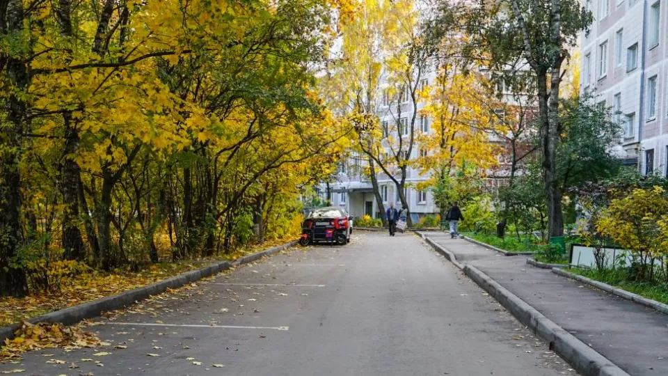 Фото: пресс-служба администрации г.о. Химки