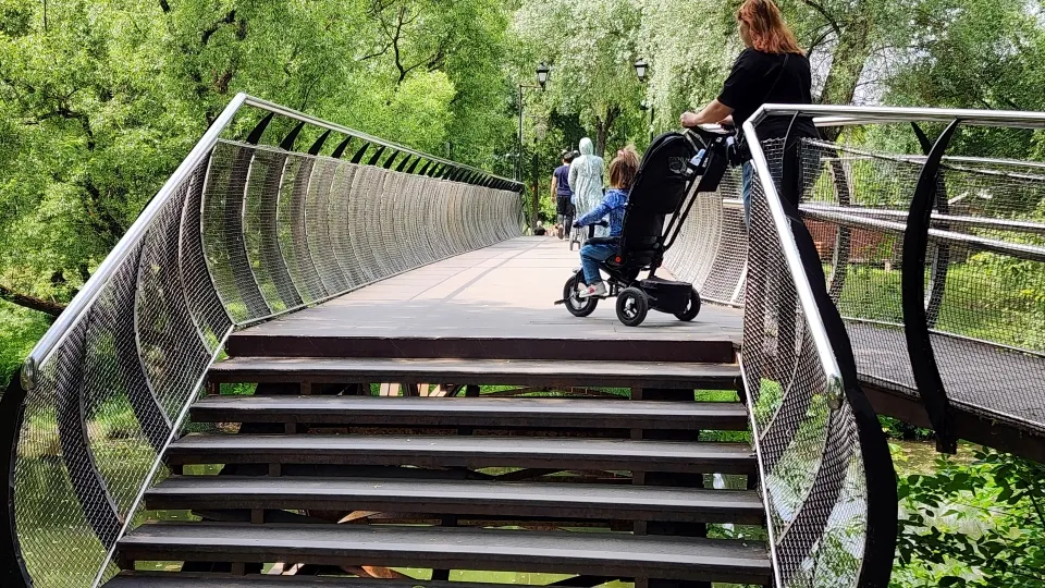 Фото: Медиабанк Подмосковья/Дмитрий Алексеенко