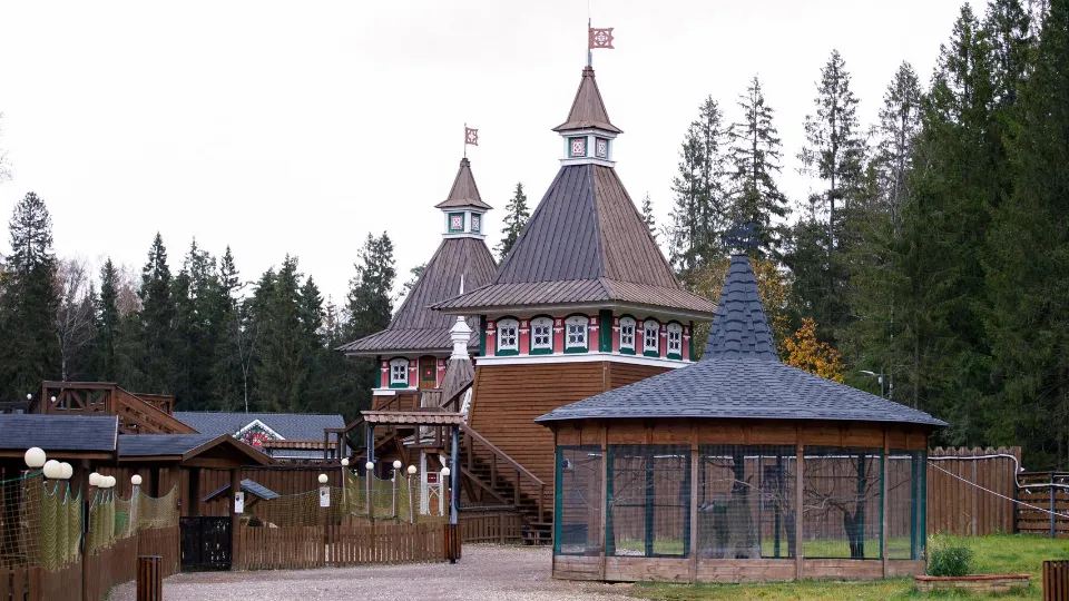 Фото: медиасток.рф